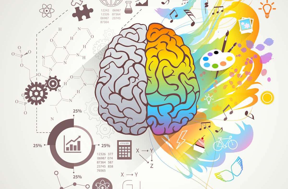 Beynimizin Sağ ve Sol Tarafı: Gerçekten Farklı mı Çalışıyorlar?